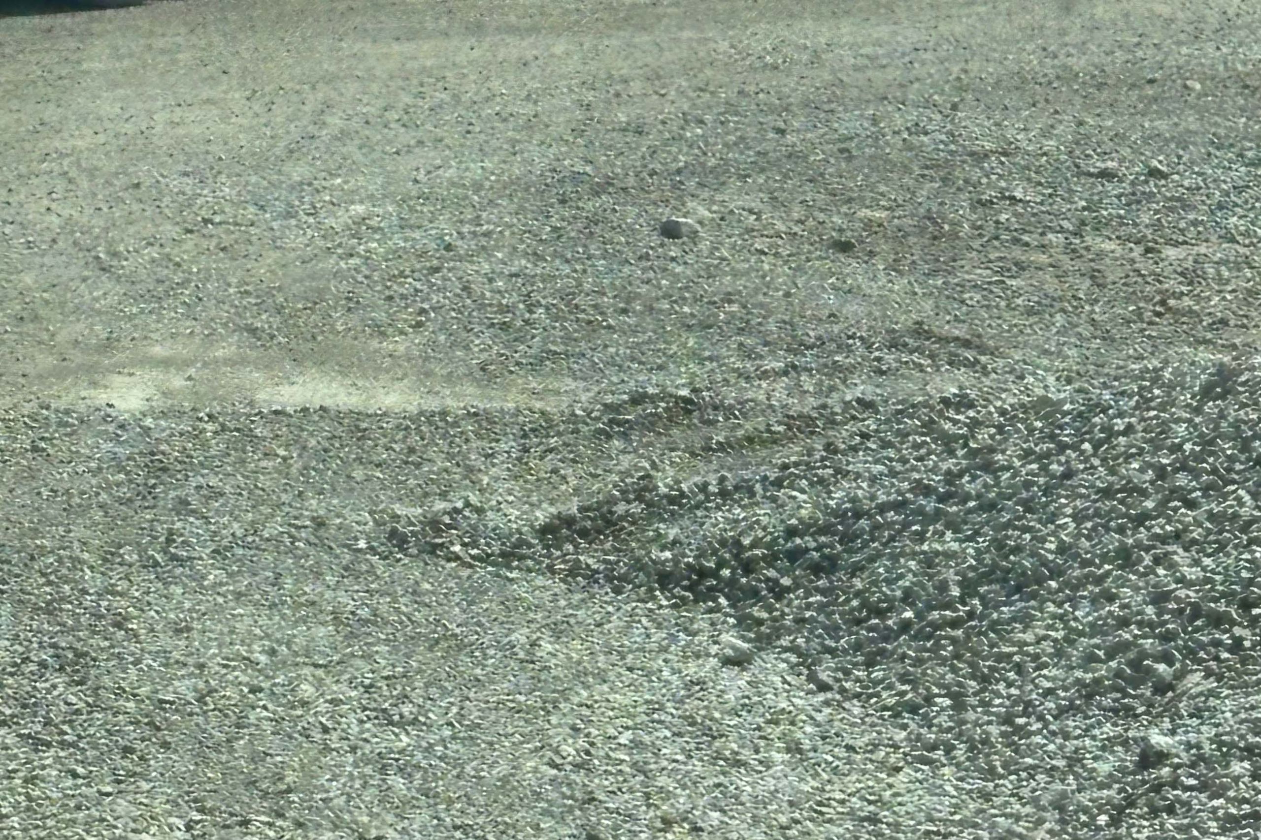 Crushed limestone spread out across the yard